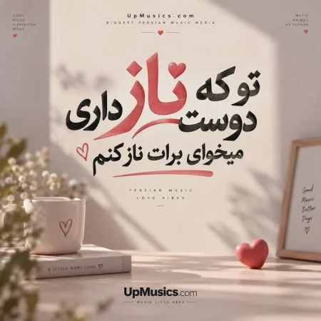 ناز دوست داری — تو که ناز دوست داری میخوای برات ناز کنم